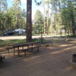 Camping 6-24-08 161