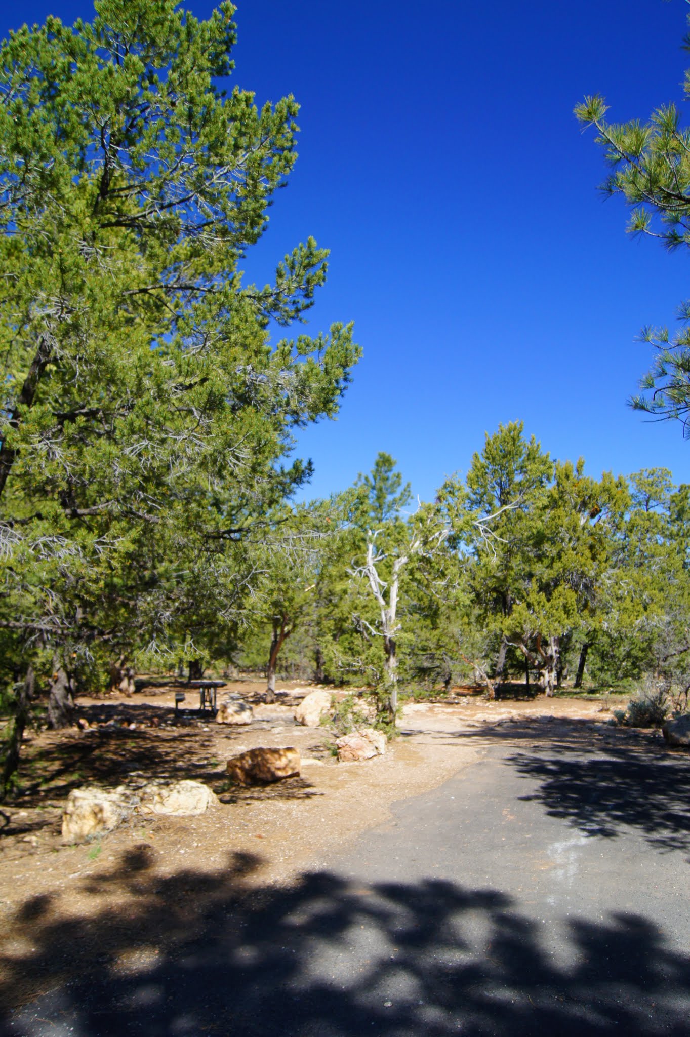 Mather Campground - South Rim Grand Canyon