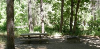 CampAZ - Campsite at Cave Springs Campground