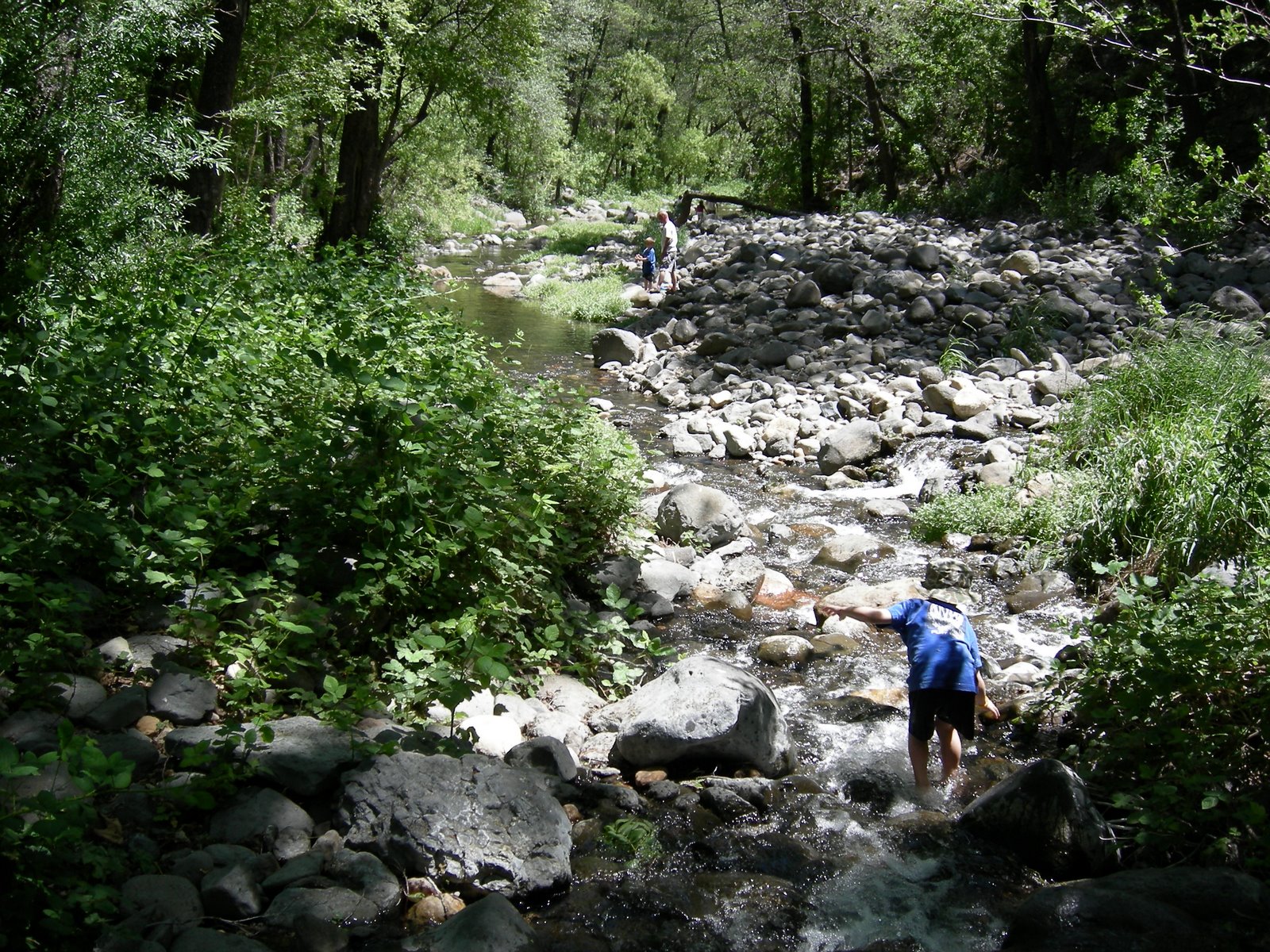 Oak Creek near Cave Springs Campground