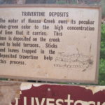 Havasu Falls Info | Camp Arizona