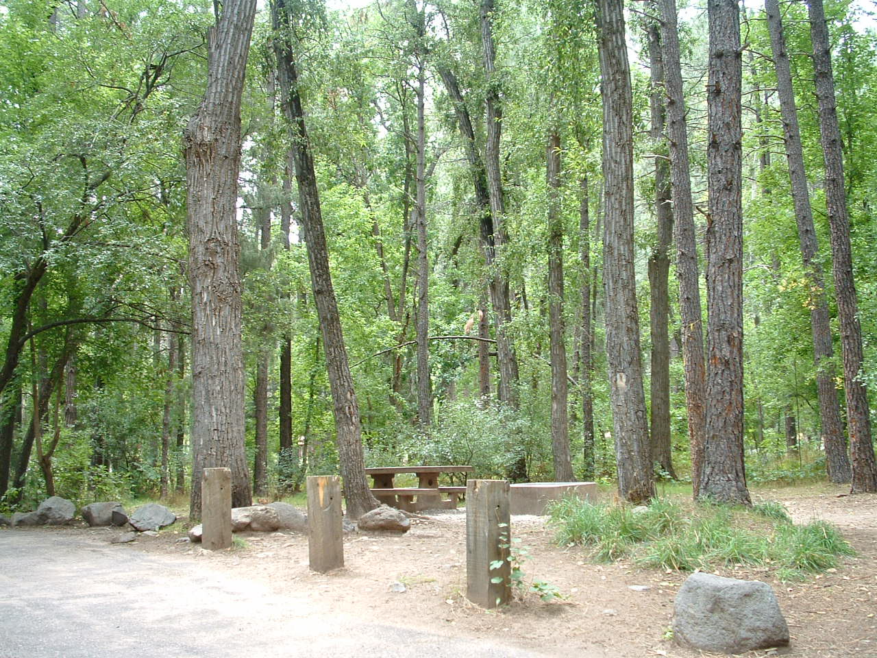 Oak Creek near Cave Springs Campground