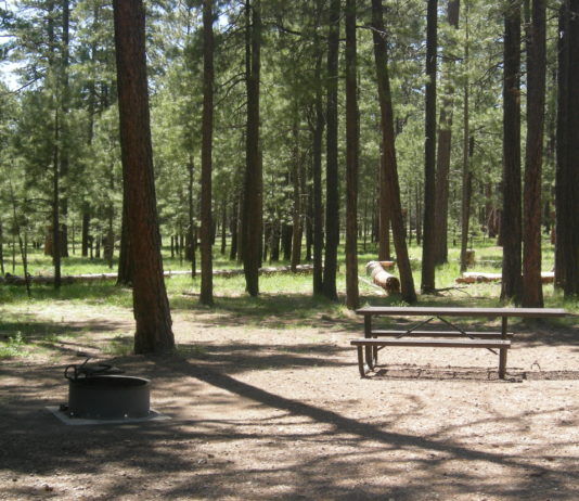 Canyon Point Campground