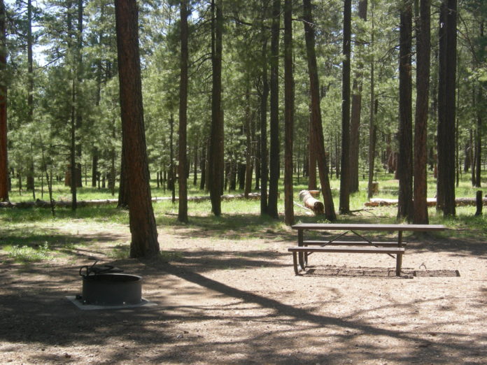 Canyon Point Campground