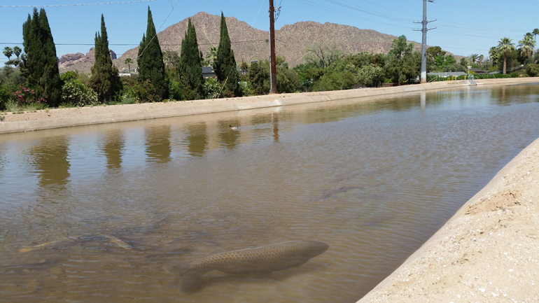 Arizona Fishing Report: Where to catch fish in Arizona