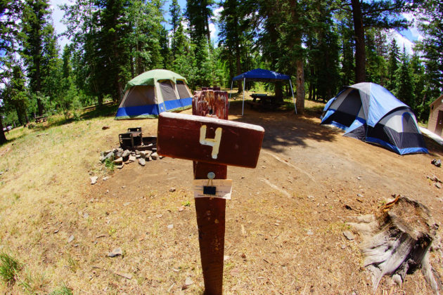 A campsite at Brookchar Campground