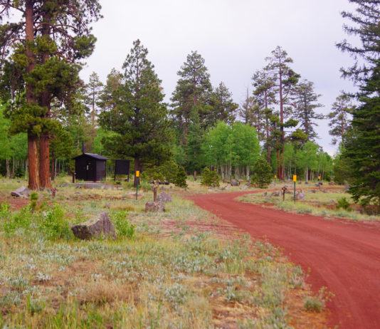 Winn Campground