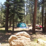 Knoll Lake Campground