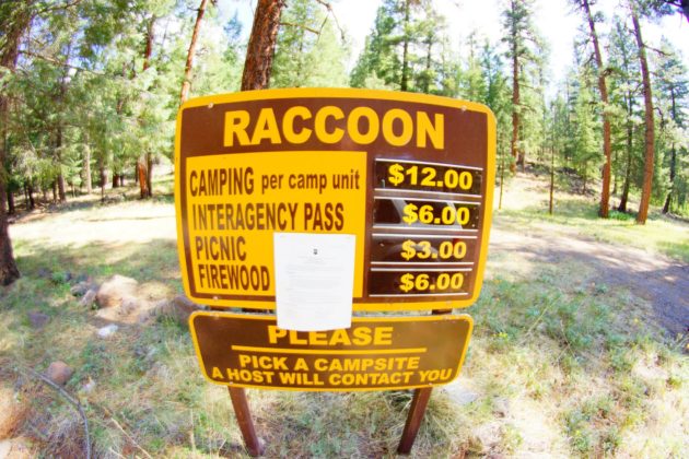 Raccoon Campground