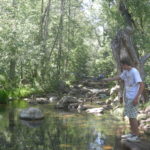 Upper Canyon Creek