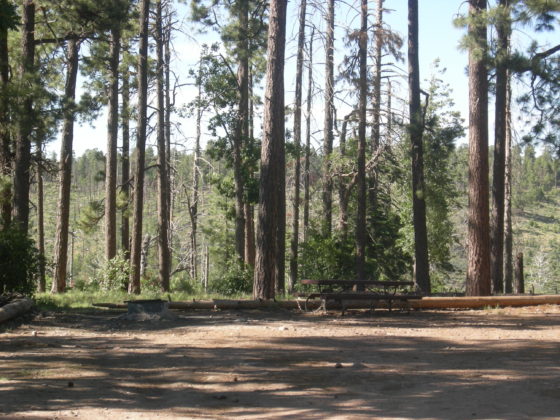 Upper Canyon Creek Campground