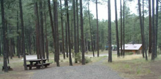 Horse Springs Campground