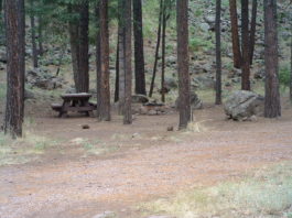 Raccoon Campground