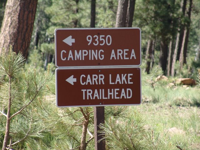 FR 9350 Campground