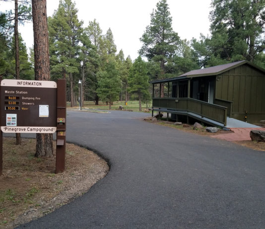 Pine Grove Campground | Camp Arizona