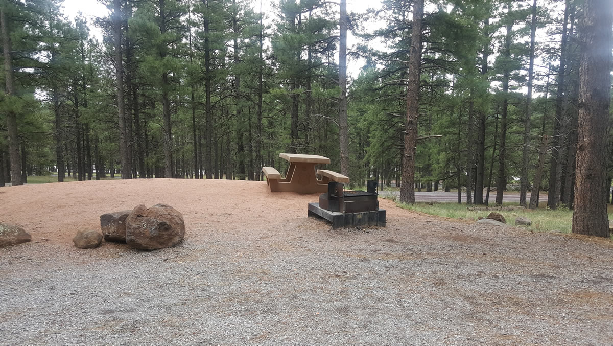 Lakeview Campground | CampAZ