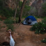 Havasu Campsite | Camp Arizona