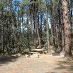 Lower Wolf Creek Campground