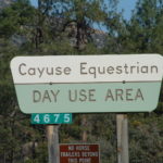 Cayuse Day Use Area
